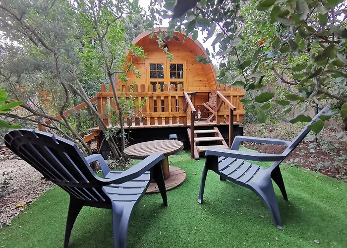 Ma Au Fond Du Jardin *