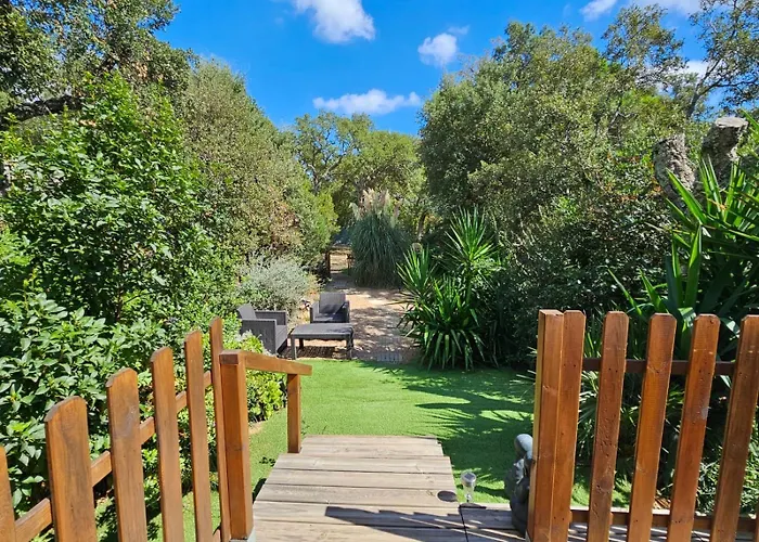 Ma Au Fond Du Jardin