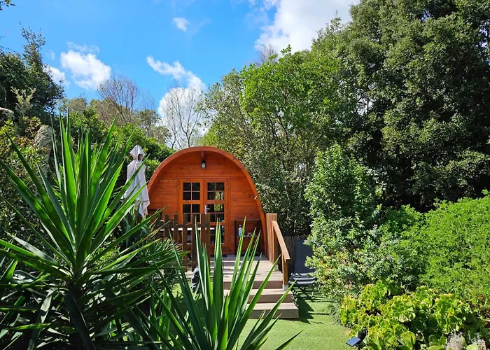 Chalet Ma Au Fond Du Jardin Porto Vecchio